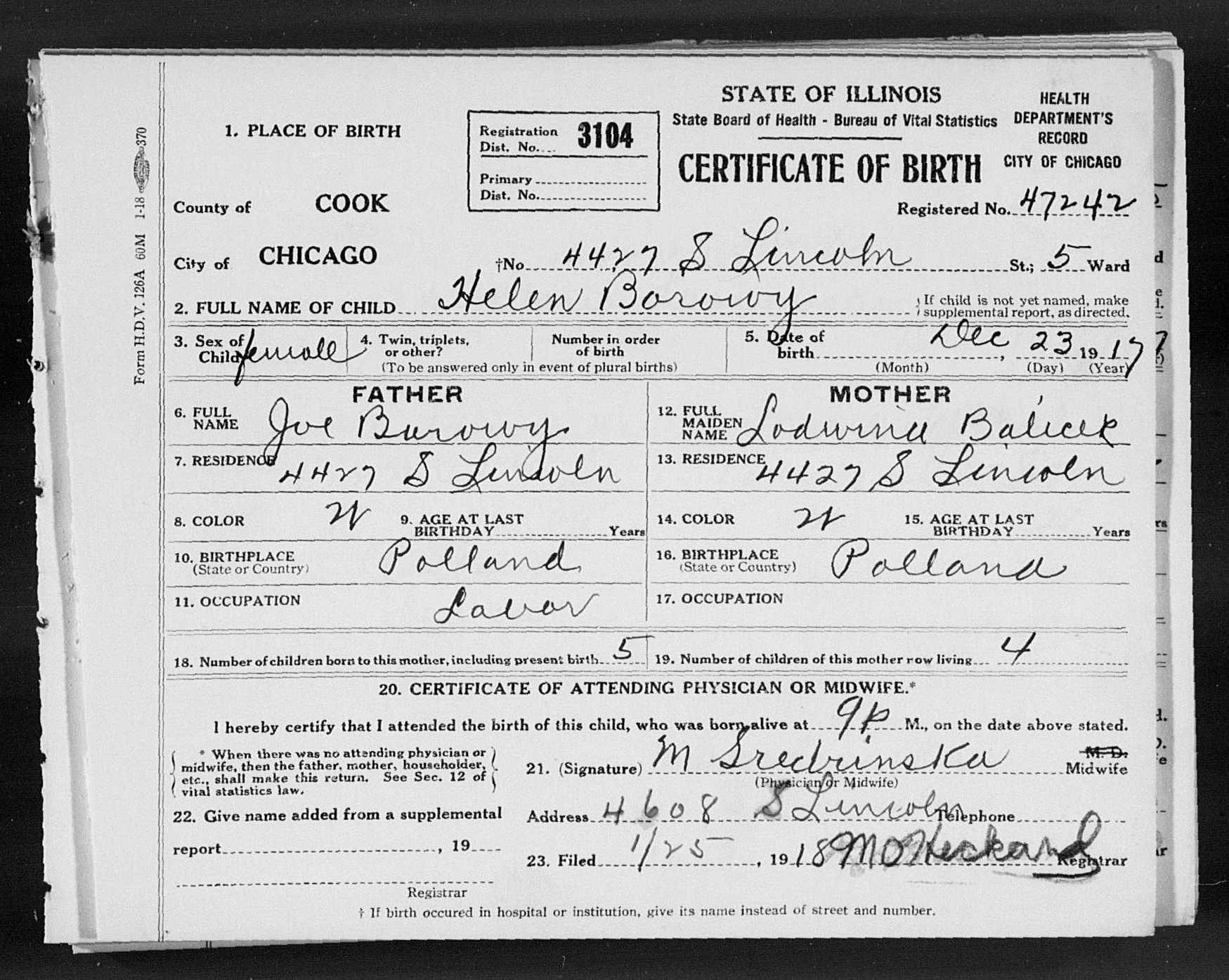 McCarthy-Anderson Genealogy - “Illinois, Cook County Birth Certificates ...